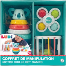 Ludi sorting toy set