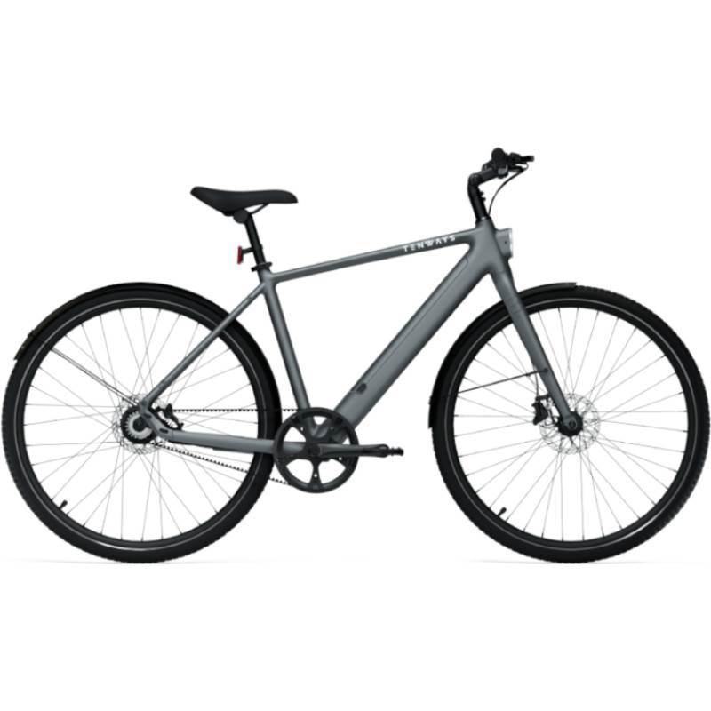 Tenways E-Bike TENWAYS CGO600 PRO (2025) Pebble Grey (L)