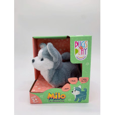 Pugs At Play Staigājo&scaron;s suns, Milo