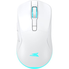 Baracuda BGM-122 Turtle White
