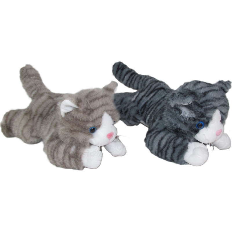 Liegende Katze mit Sound