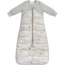 Love To Dream SLEEP BAG GREY 6-18M