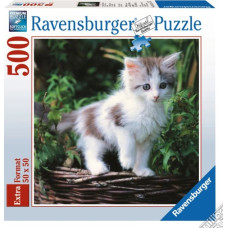 Ravensburger Puzzle 500 Kitten