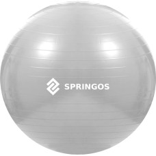 Springos Exercise ball with pump Springos FB0008 75cm