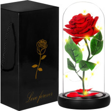 Springos HA5156 ETERNAL ROSE IN GLASS