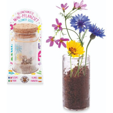 Trendhaus Good Feelings HF - Mini planting set - Flower meadow