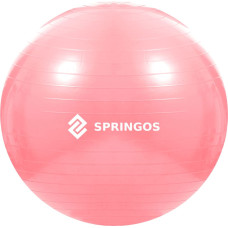 Springos Exercise ball with pump Springos FB0012 75 cm