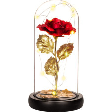 Springos Eternal rose in glass Springos HA5160