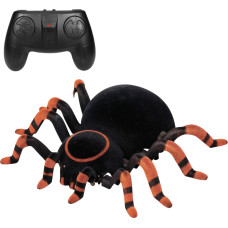 Seina peal roniv Wroow Spiooniämblik