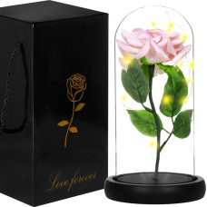 Springos Eternal rose in glass Springos HA5157