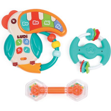 Ludi musical set, toucan