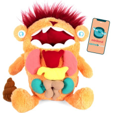 Miniland AMAZING INSIDE