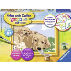 Ravensburger Paint by numbers 12x8.5 cm Dogs