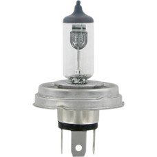 Bottari Halogen bulb H5 12V 60/55W P45T