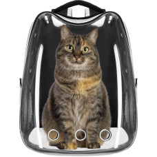 Springos Pet carrier backpack for cats, rabbits, and dogs Springos PA0229, up to 12 kg, 40 x 34 x 21 cm, gray, transparent