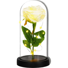 Springos Eternal rose in glass Springos HA7443