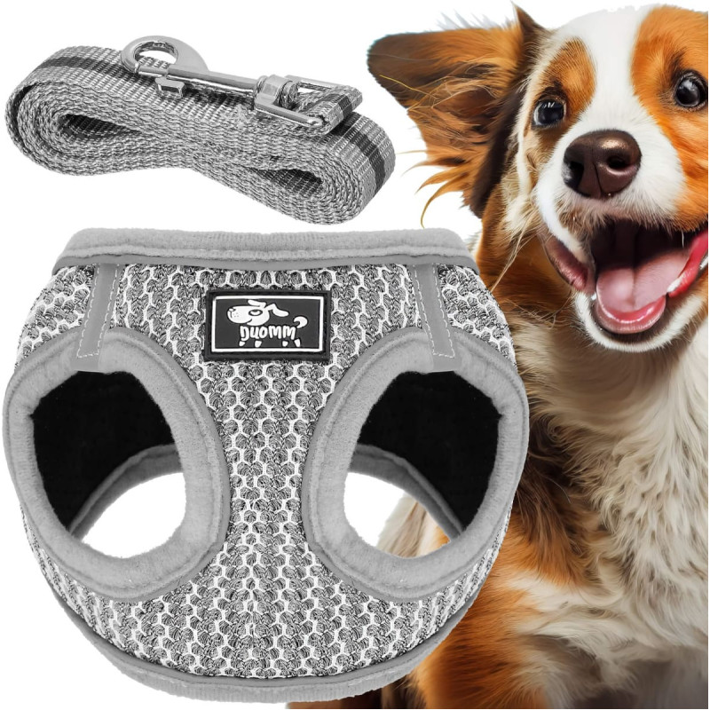 Springos Pressure-free dog and cat harness set Springos PA0235, XS up to 5.5 kg + 150 cm leash, grey